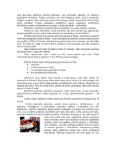 Pobūvio-furšeto aptarnavimas 4 puslapis