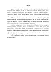 Skiedinių ir betono užpildai 3 puslapis