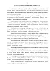 Skiedinių ir betono užpildai 4 puslapis