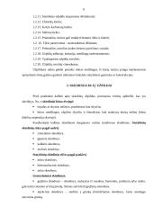 Skiedinių ir betono užpildai 6 puslapis