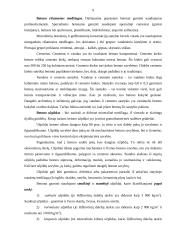 Skiedinių ir betono užpildai 9 puslapis