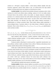 Skiedinių ir betono užpildai 10 puslapis
