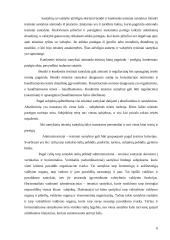 Administracinių teisinių santykių nagrinėjimas 6 puslapis
