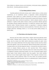 Valdymo informacinių sistemų tipai 11 puslapis