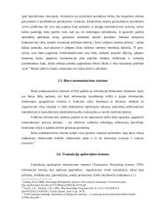 Valdymo informacinių sistemų tipai 12 puslapis