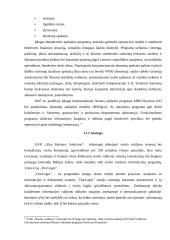 Valdymo informacinių sistemų tipai 16 puslapis