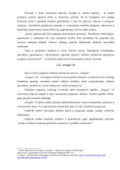 Valdymo informacinių sistemų tipai 19 puslapis