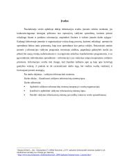 Valdymo informacinių sistemų tipai 3 puslapis