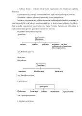 Valdymo informacinių sistemų tipai 6 puslapis