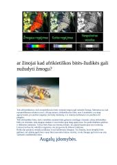Gyvūnų įdomybės 5 puslapis