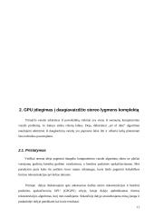 GPU įdiegimas į daugiavaizdžio stereo lygmens komplektą 11 puslapis