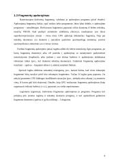 GPU įdiegimas į daugiavaizdžio stereo lygmens komplektą 8 puslapis