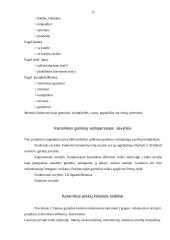 Keramikos ir stiklo prekės 11 puslapis