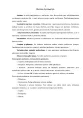 Keramikos ir stiklo prekės 6 puslapis