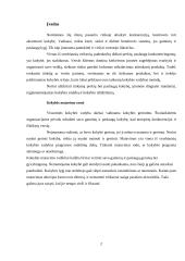Kokybės standartai ir jų matavimo būdai 2 puslapis