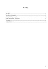 Kolektyviniai ir individualūs darbo ginčai (ikiteisminis ir teisminis nagrinėjimas) 2 puslapis