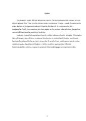 Ląstelės reikšmė biologijoje 2 puslapis