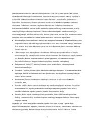 Ląstelės reikšmė biologijoje 7 puslapis