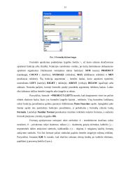 Microsoft Word dokumento lentelių kūrimo, formatavimo, formulių rašymo galimybės 11 puslapis