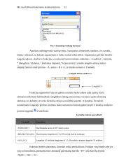 Microsoft Word dokumento lentelių kūrimo, formatavimo, formulių rašymo galimybės 12 puslapis