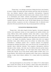 Mikroorganizmai žmogaus kūne 2 puslapis