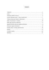 Nedarbo mažinimo tikslai ir metodai 2 puslapis