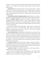 Pagrindinės ekonomikos nagrinėjamos problemos 12 puslapis
