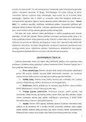 Pagrindinės ekonomikos nagrinėjamos problemos 3 puslapis