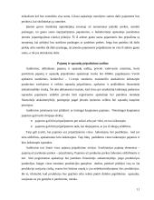 Pajamų ir sąnaudų auditas 11 puslapis