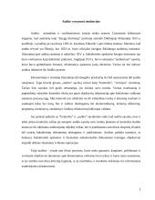 Pajamų ir sąnaudų auditas 3 puslapis