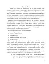 Pajamų ir sąnaudų auditas 4 puslapis