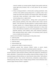 Pajamų ir sąnaudų auditas 5 puslapis