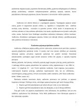 Pajamų ir sąnaudų auditas 7 puslapis