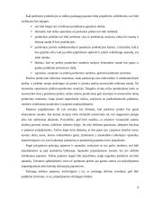Pajamų ir sąnaudų auditas 8 puslapis