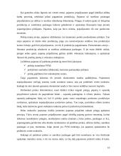 Pajamų ir sąnaudų auditas 10 puslapis