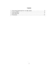 Parasitic flowering plants and their descriptions 2 puslapis