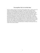 Parasitic flowering plants and their descriptions 3 puslapis