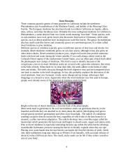 Parasitic flowering plants and their descriptions 4 puslapis