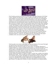 Parasitic flowering plants and their descriptions 5 puslapis