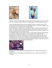 Parasitic flowering plants and their descriptions 8 puslapis