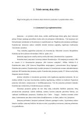 Teisės normų taikymo aktas ir jo rūšys 8 puslapis