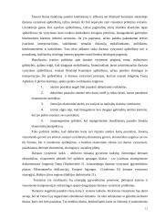 Visuotinės kokybės ir darnaus vystymosi koncepcija 11 puslapis