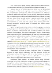 Visuotinės kokybės ir darnaus vystymosi koncepcija 14 puslapis