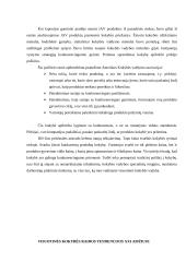 Visuotinės kokybės vadybos (VKV) samprata ir raida 2 puslapis