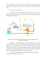 Žemdirbystės sistemos 6 puslapis