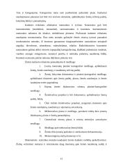 Žemės kadastras 11 puslapis