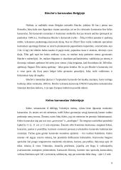 Žymiausi pasaulio karnavalai 9 puslapis