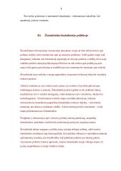 Žiniasklaida ir jos vaidmuo politikoje 8 puslapis