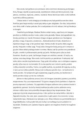 Studento savianalizė  2 puslapis