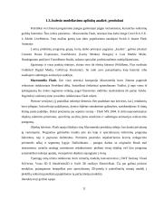 Judesio objektiškai orientuoto projektavimo modeliai 12 puslapis